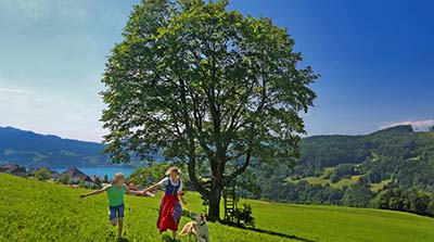 Mutter mit Kind und Hund laufen über eine Wiese